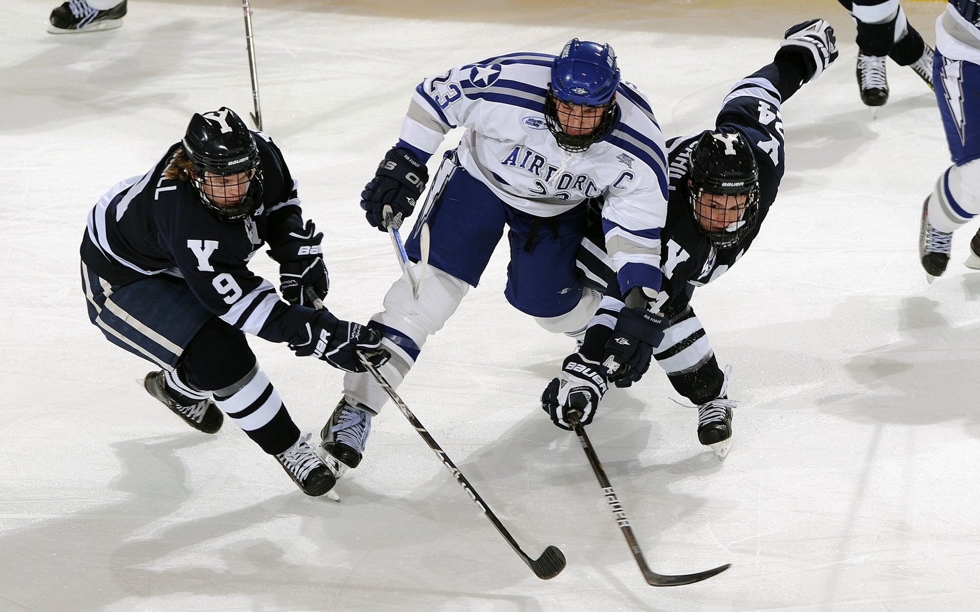 突尼斯青年球员快速成长，突尼斯联赛积分榜
