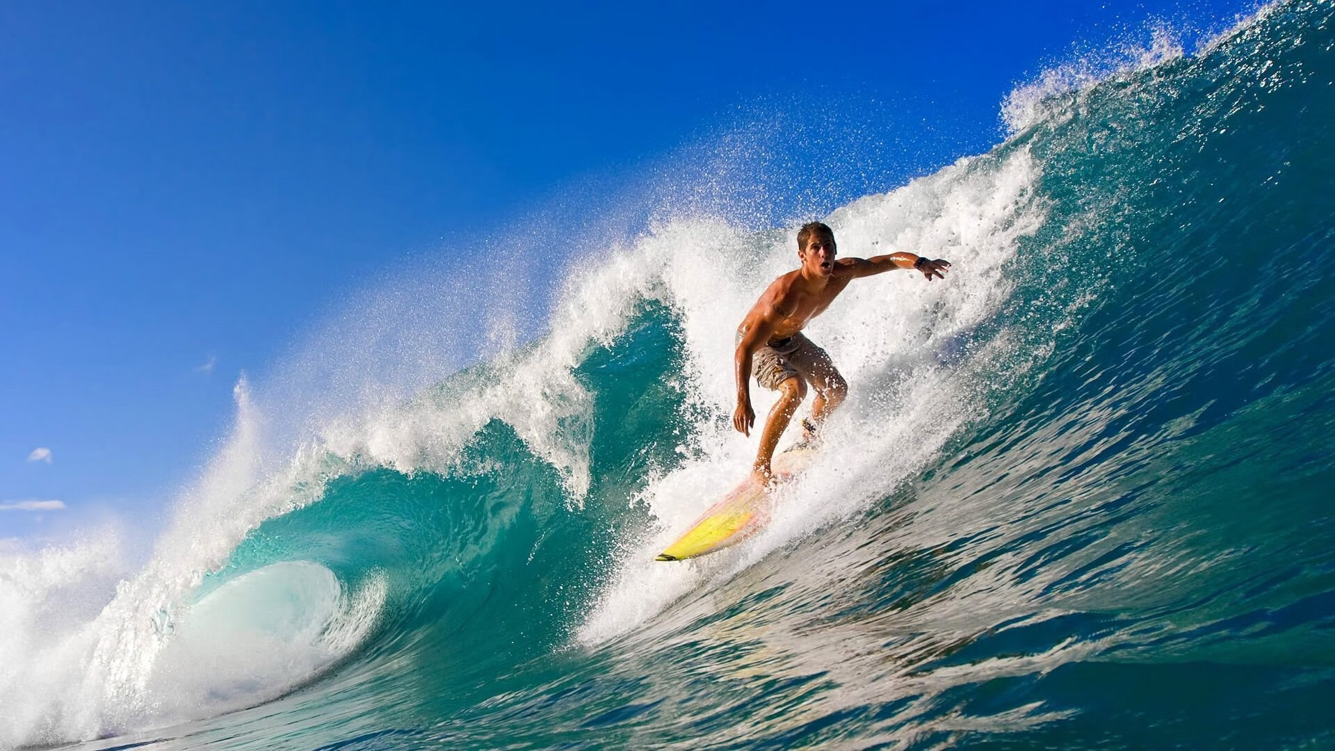 体测系统升级纳入动态健康跟踪机制,体测信息